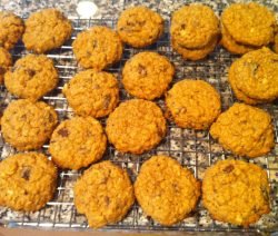 anything-goes-oatmeal-cookies