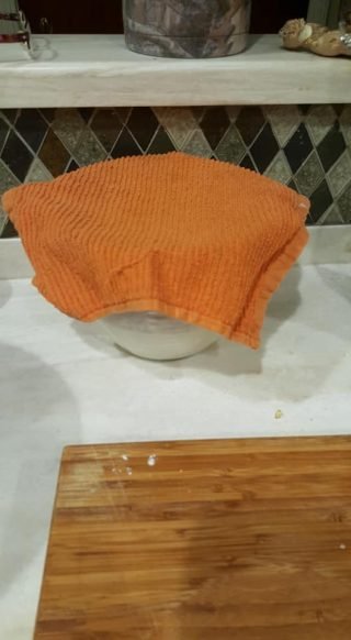 day 4 sourdough starter resting